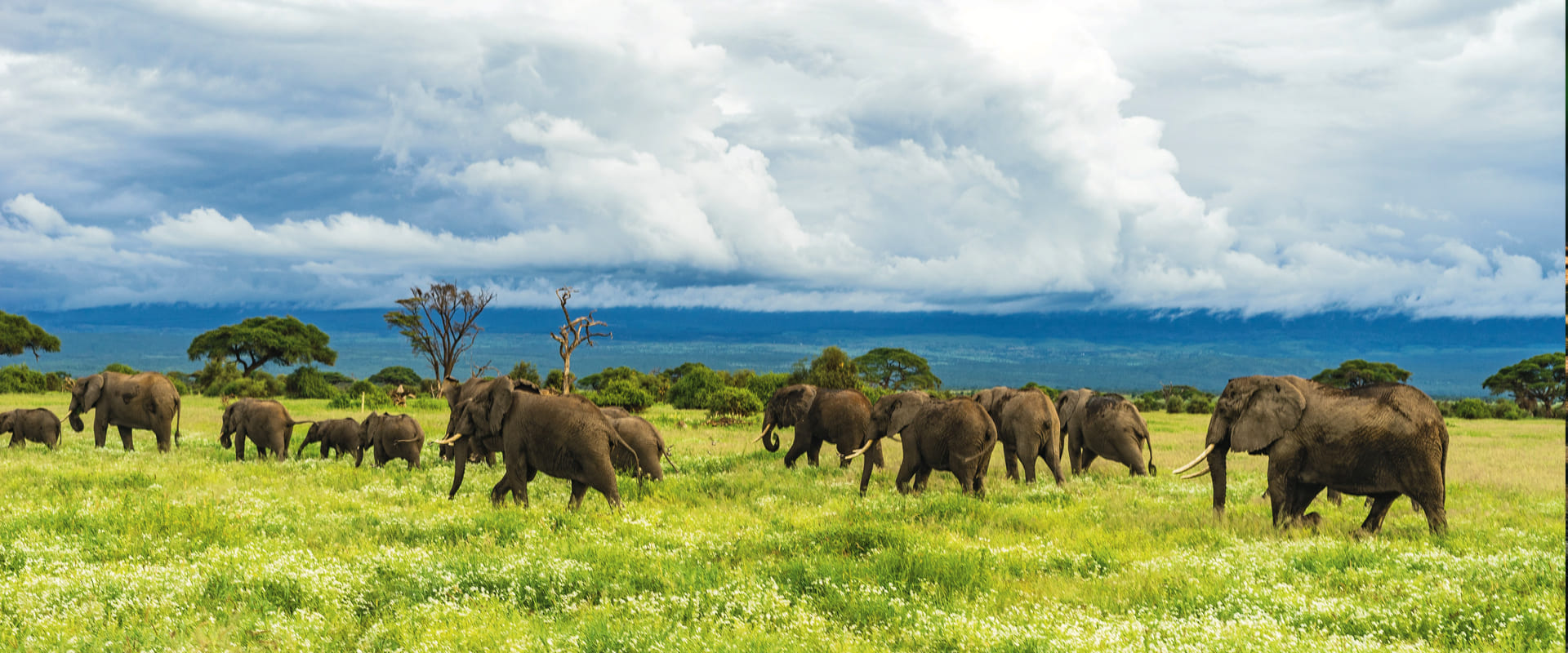Bomet County’s Pioneering Forest & Conservation Management Bill