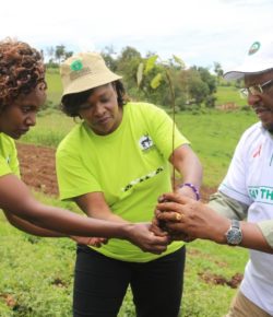 EAWLS supports the 10 million Trees Mau Restoration Initiative