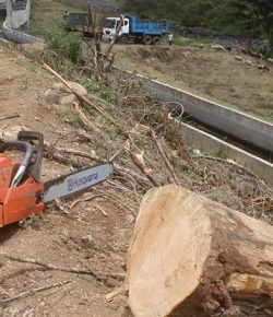 EAWLS opposes proposed expansion of Nyandarua Town into Aberdare Forest