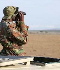 Send Your Thanks to Rangers This World Rangers Day!
