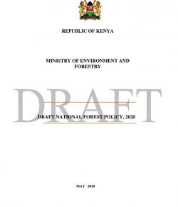 Kenya reviews forest policy