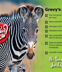EAWLS team participates in the Great Grevy’s Rally